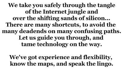 IT Professional Services